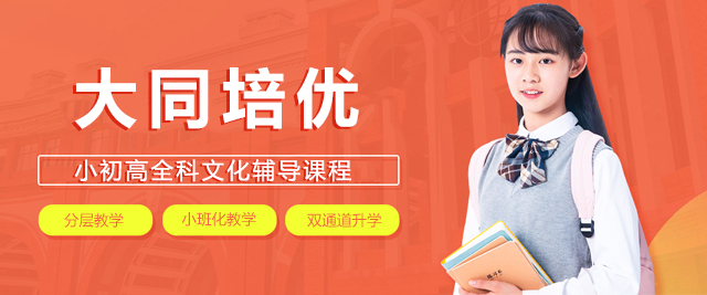 上海大(da)同培優(you)