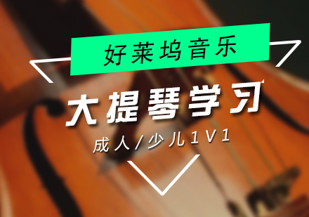 上海大(da)提琴培訓