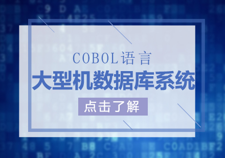 上海大(da)型機(jī)數(shu)據庫係(xi)統